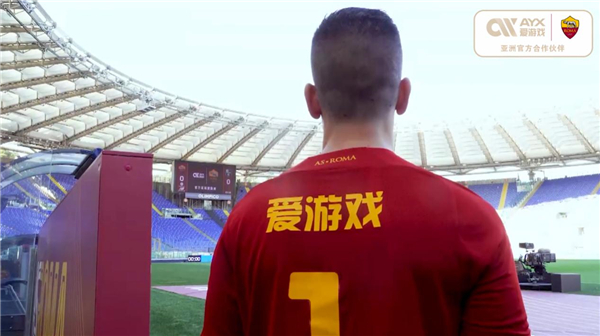 共同训练与